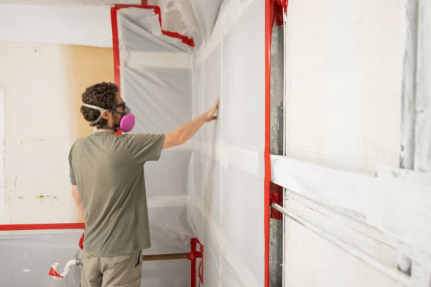 Best Mold Odor Removal Services  in Archer Lodge, NC